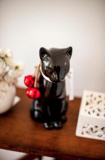 The Black Kitten Ii Caldas Da Rainha